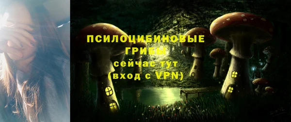 твердый Алзамай