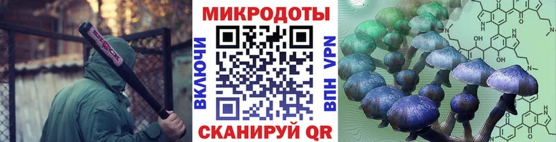ссылка на мегу зеркало  Зеленоградск  Галлюциногенные грибы мицелий 